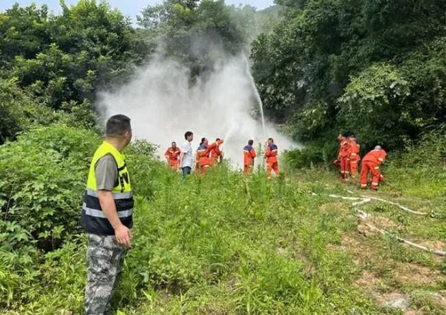 守好綠色家園|鐵山坪街道扎實(shí)做好森林防火工作